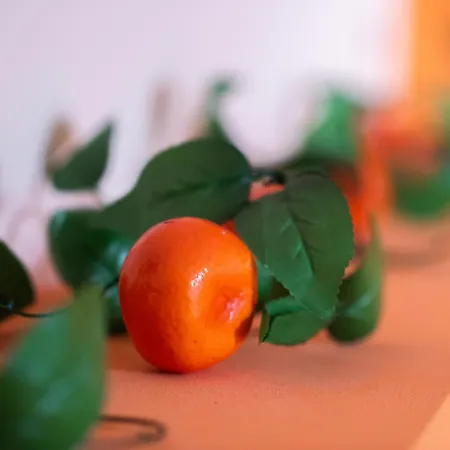 Terra D'agrumi Katánie