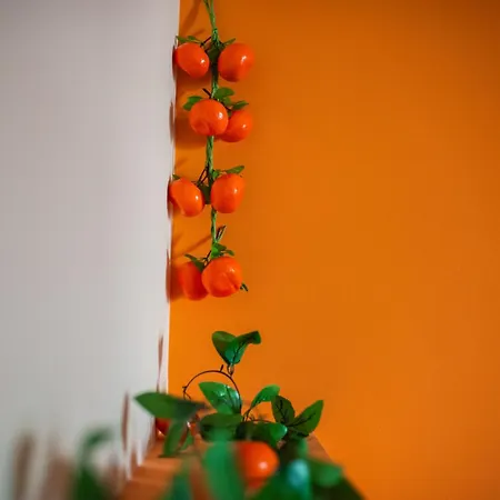 Terra D'agrumi 4* Katánie